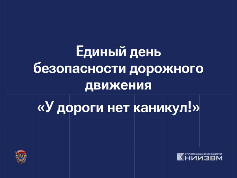 Участие в Едином дне безопасности дорожного движения